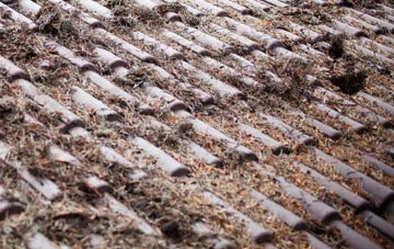 Rosedinnick roof cleaning companies