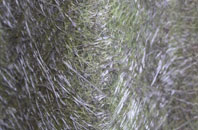 Rosedinnick fibreglass roof work